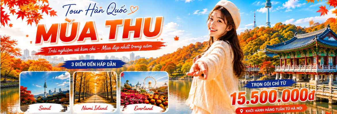 Tour Hàn Quốc mùa thu 2026